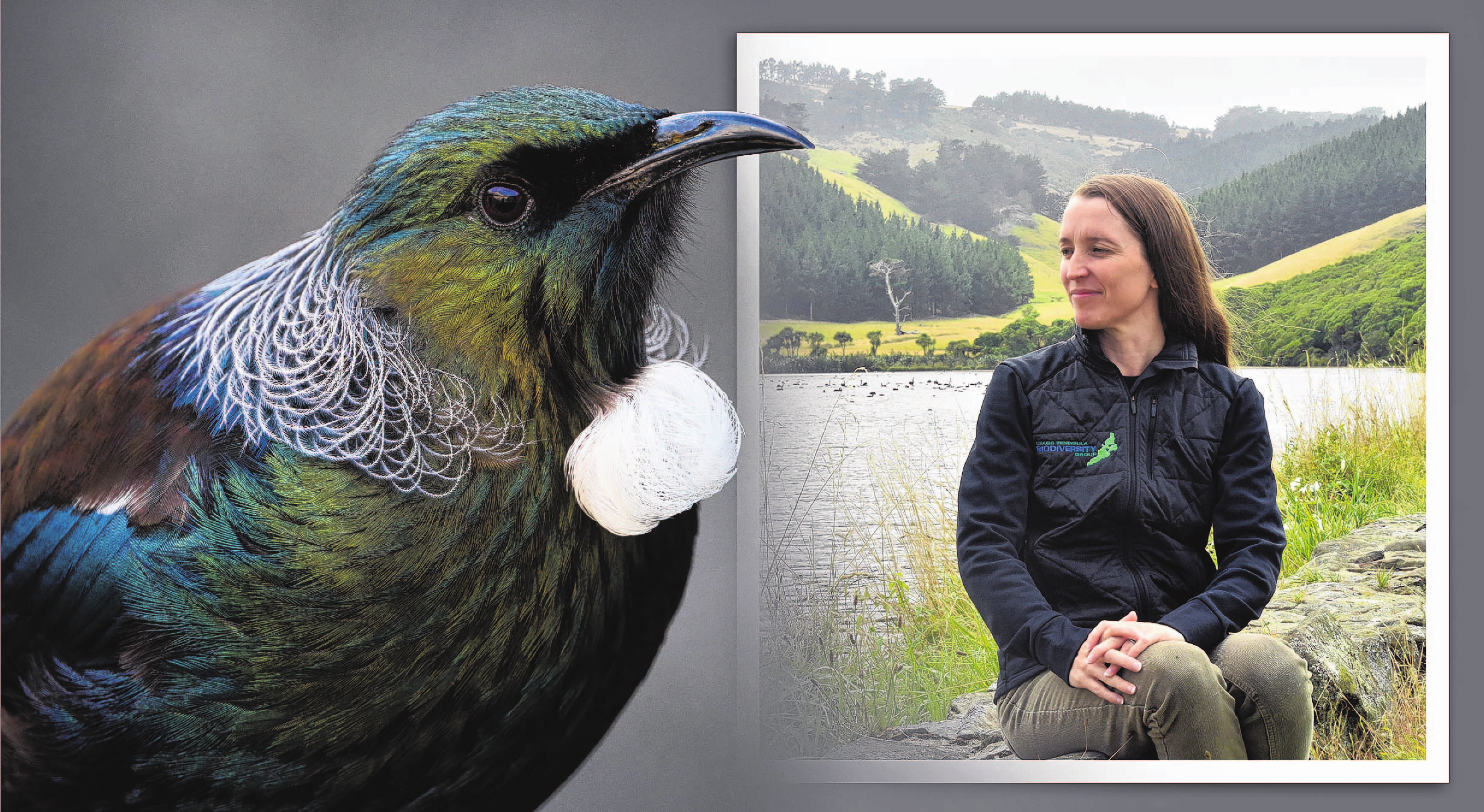 Otago Peninsula Biodiversity group community engagement team leader Marcia Dale, at Tomahawk...