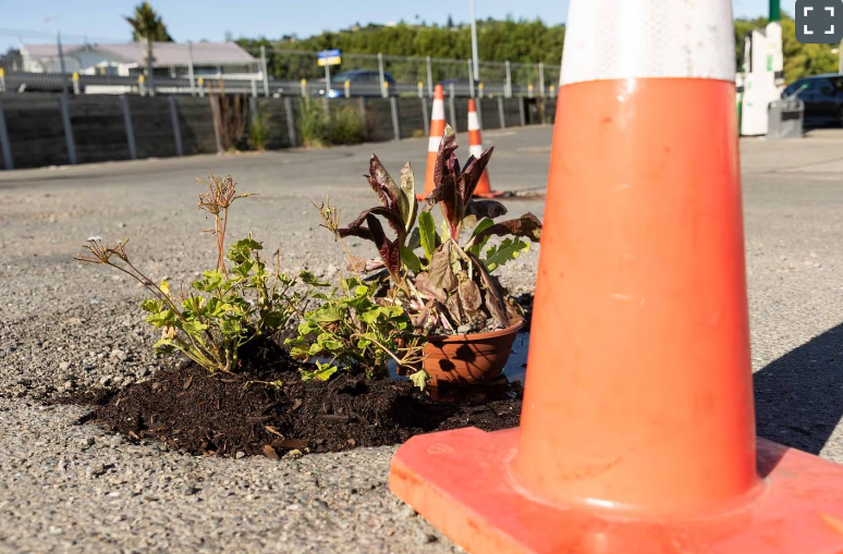 Plants and pots have been placed in potholes on the SH2 slip road at the Te Puna roundabout....