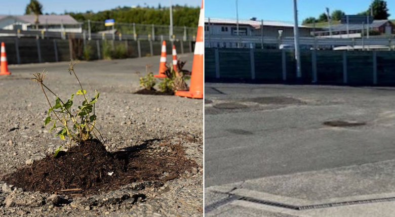 Potholes have been filled in, right, after plants were placed inside them at a Te Puna slip road,...