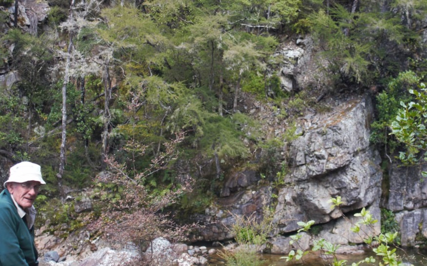 Geologist Dr Chris Adams with Wangapeka sandstone, near Tākaka in northwest Nelson, containing...