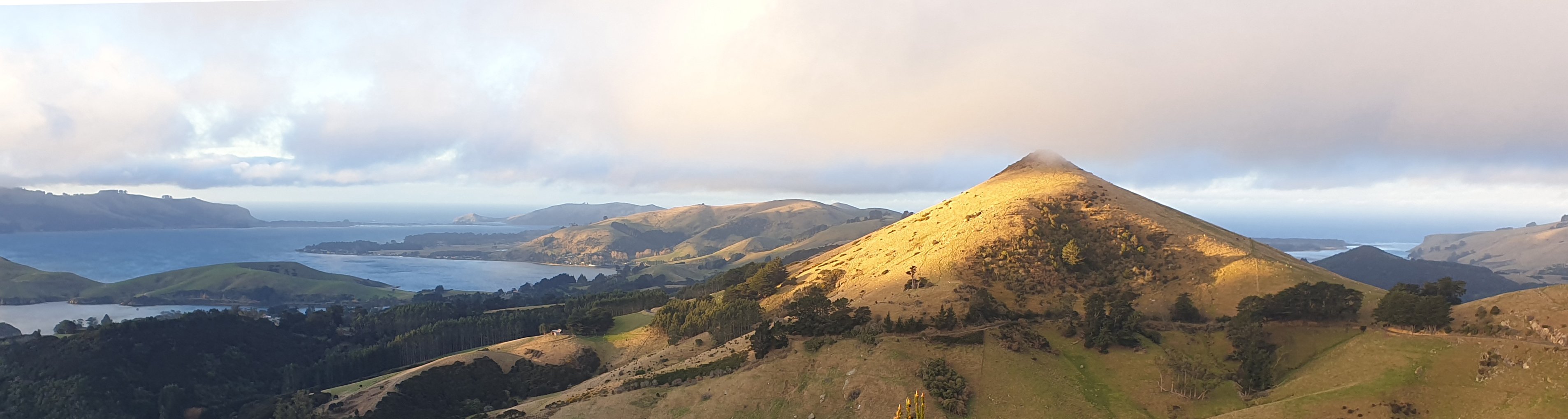 Tarewai made his way to Hereweka, where he found refuge in a cave. Photo: Clare Fraser