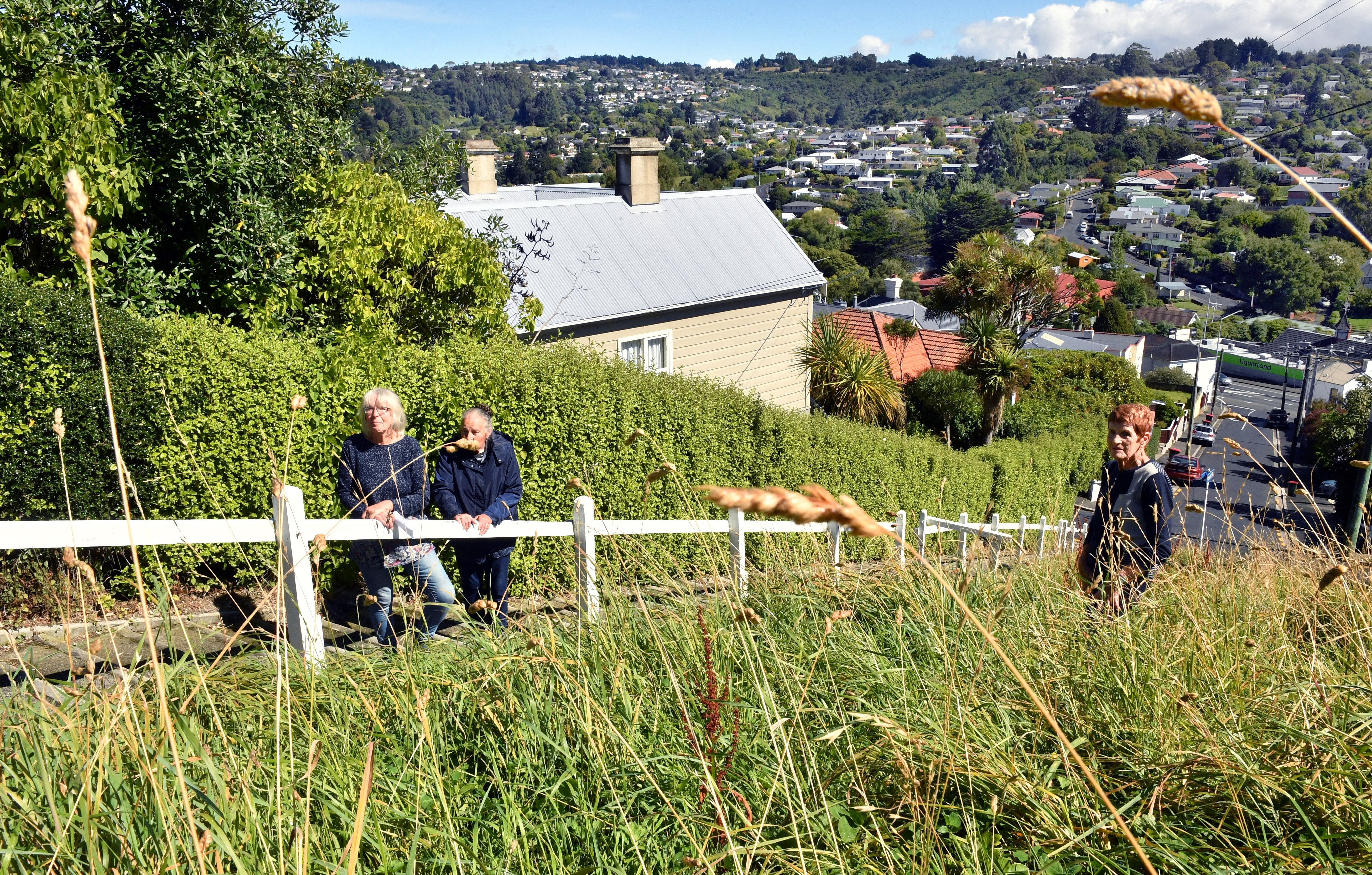 Local residents (from left) Robyn Austin, Bernice Hutchison and Ngaire Sutherland survey a long...