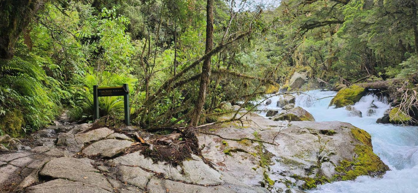 The spot where Tegan Chen slipped into Marian Creek in Fiordland National Park is not fenced off....