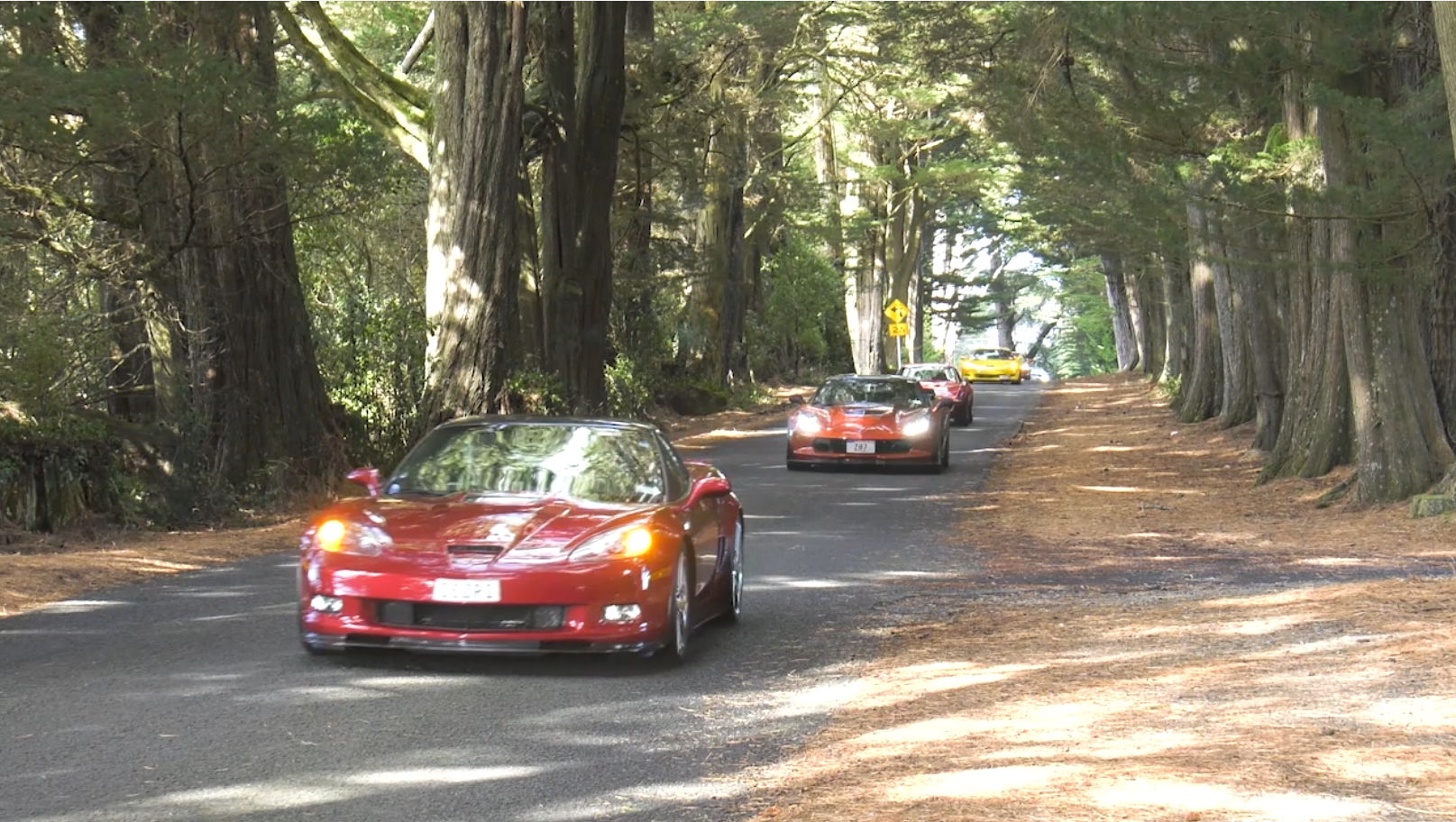 A convoy of Corvettes take a scenic journey around Dunedin city.