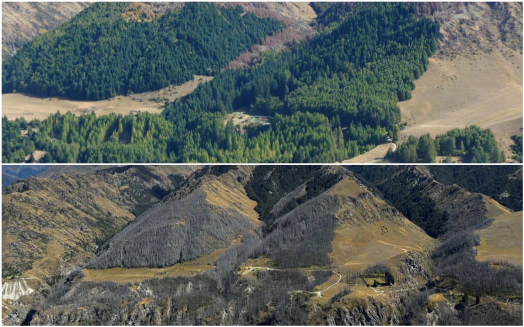 The top photo shows Skippers in 2010 and the photo below shows it now. Remnant native forest can...