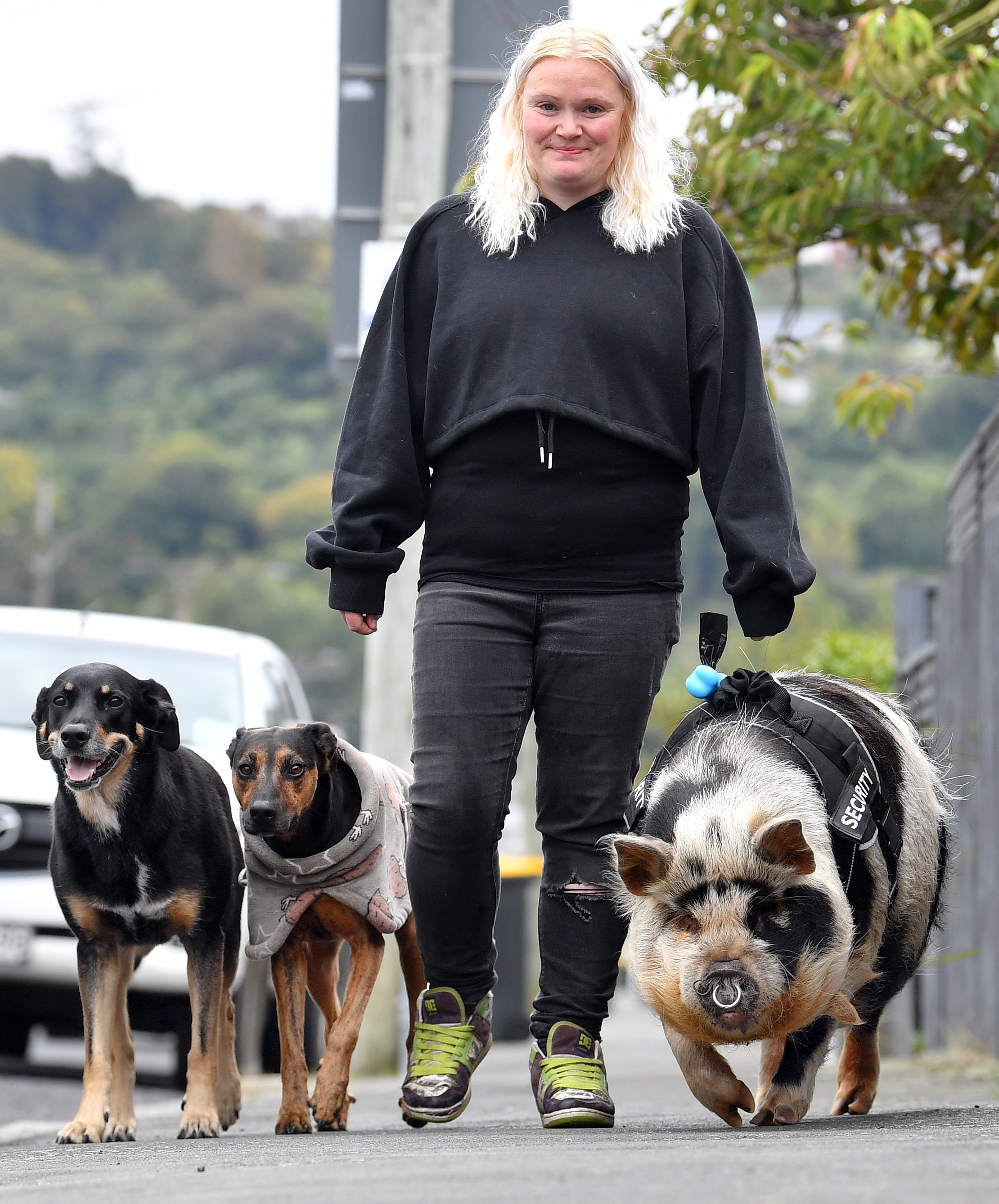 Sarah Alexander and pets (from left) Lucy, Roxy and Piglet take regular walks around South...