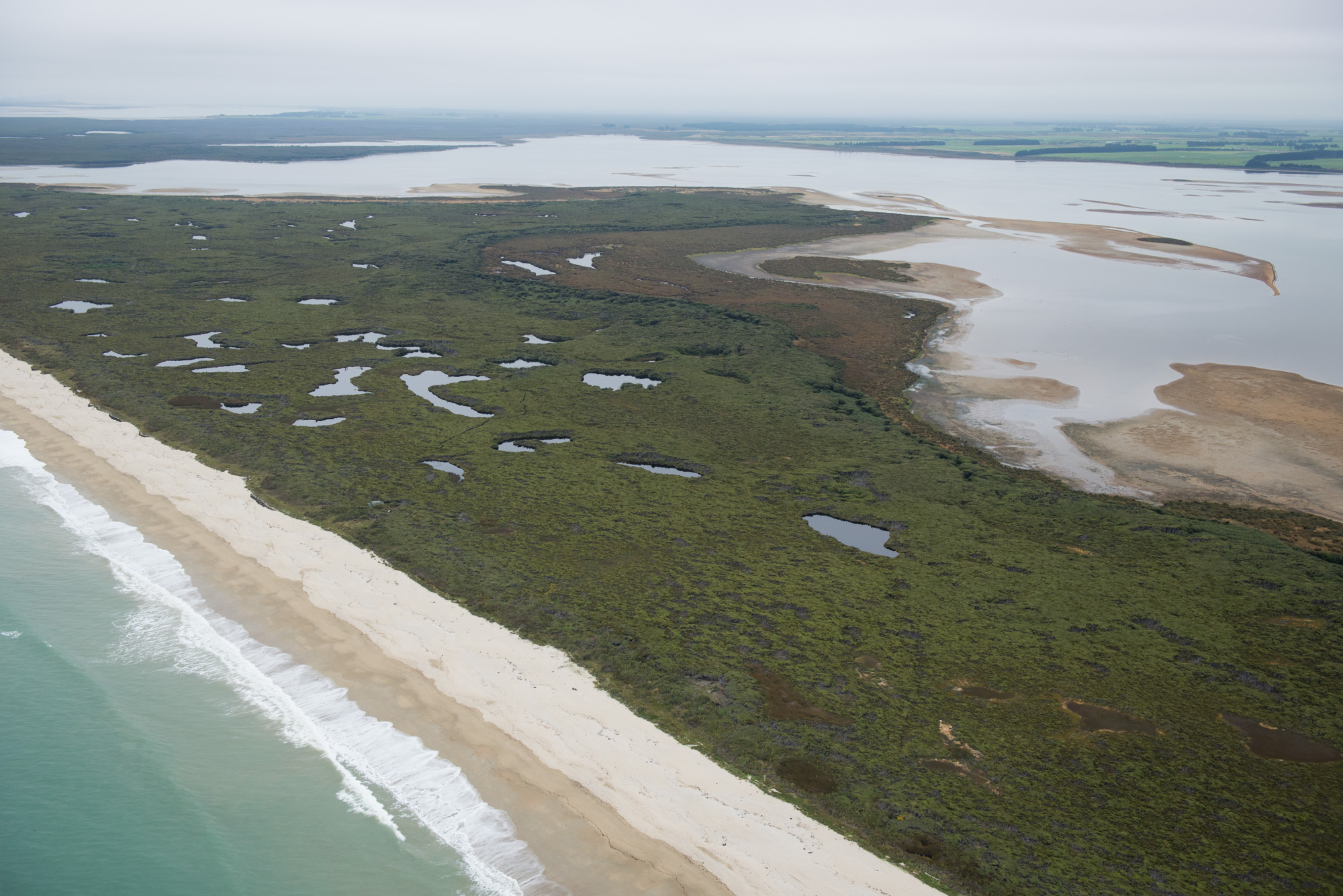 The Waituna Lagoon has been battling a toxic algae that can prove hazardous to humans and some...