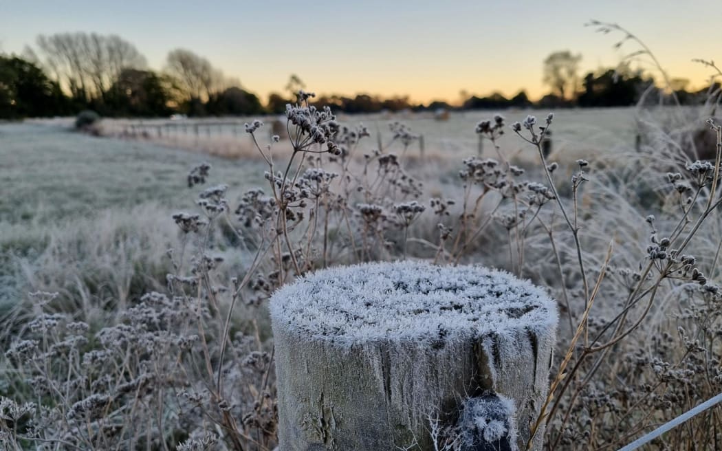 Frost in Canterbury earlier this month. The area is set for more frosts this week as temperatures...
