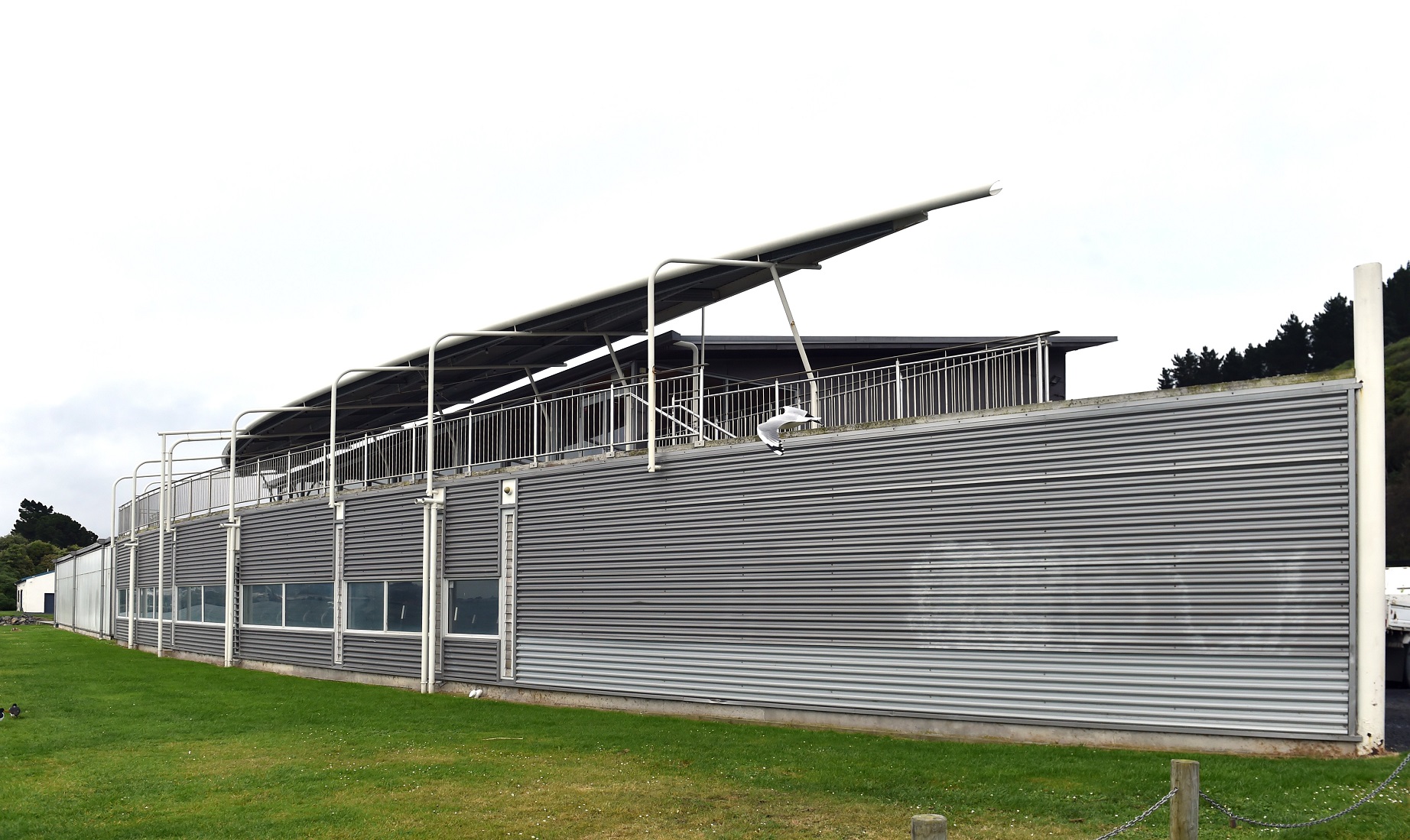 The OUSA Aquatic Centre. Photo: Peter McIntosh