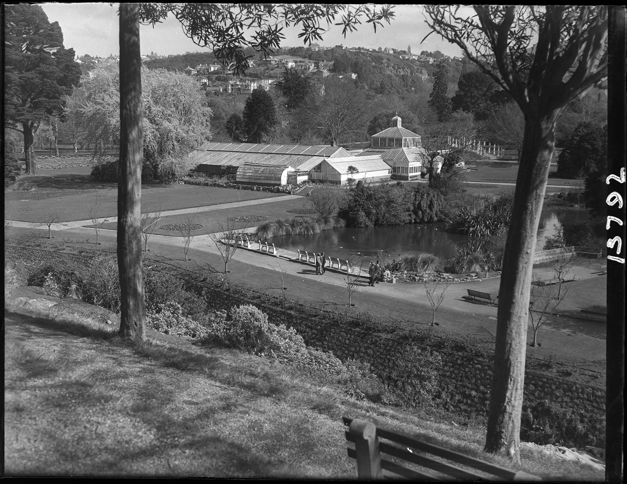 The Dunedin Botanic Garden duck pond, as it looked in 1953. Photo: Evening Star 