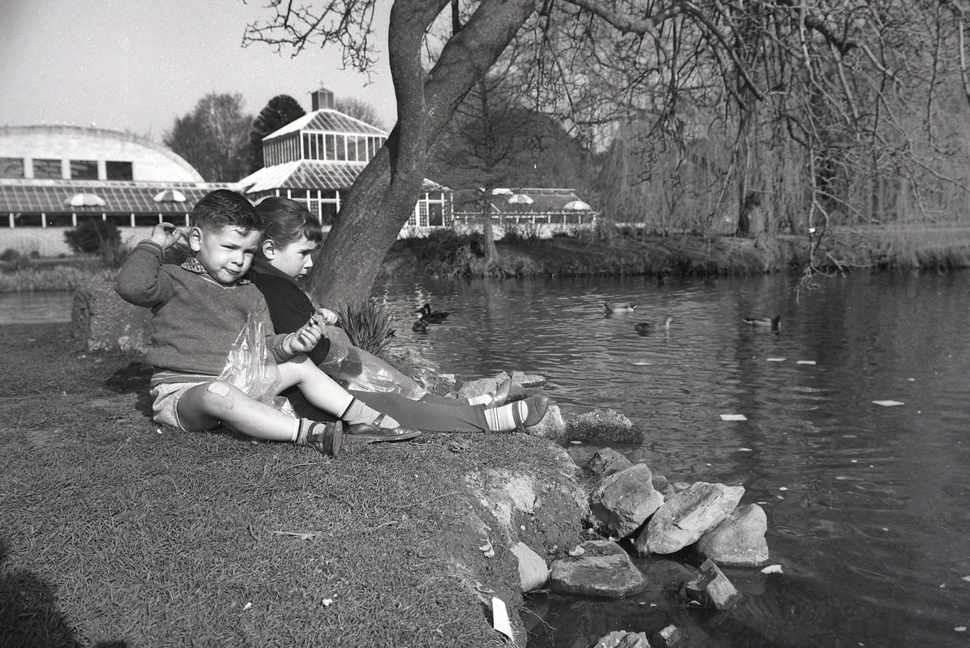 Christopher and Bernadette Pike feed the ducks at the Dunedin Botanic Garden in 1965. Photo:...