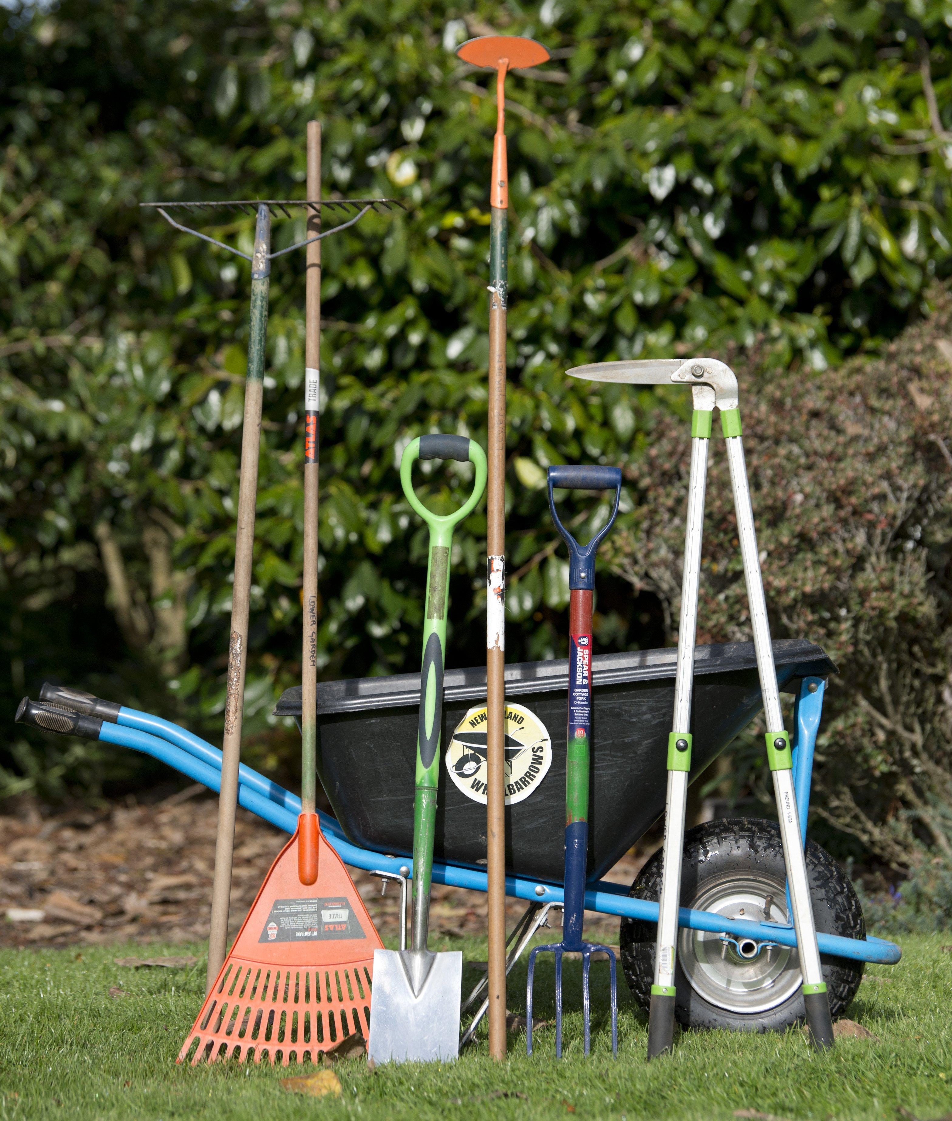 The essential  garden tool kit for the home garden. PHOTO: GERARD O'BRIEN 