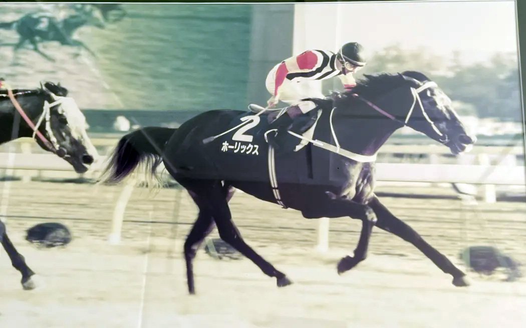 Horlicks wins the 1989 Japan Cup for David O’Sullivan, ridden by son Lance. Photo: RNZ