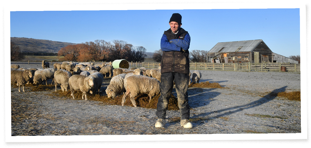 Barney Dundass feeds baleage to merinos in the Ida Valley frost. PHOTO: STEPHEN JAQUIERY 