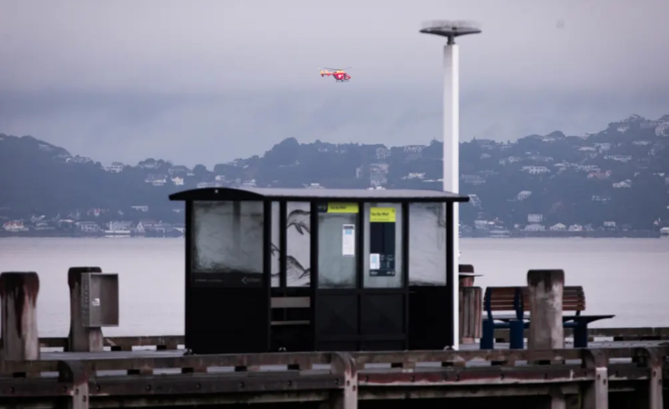 The man went missing before the Wellington East by West ferry arrived at the wharf on Days Bay...