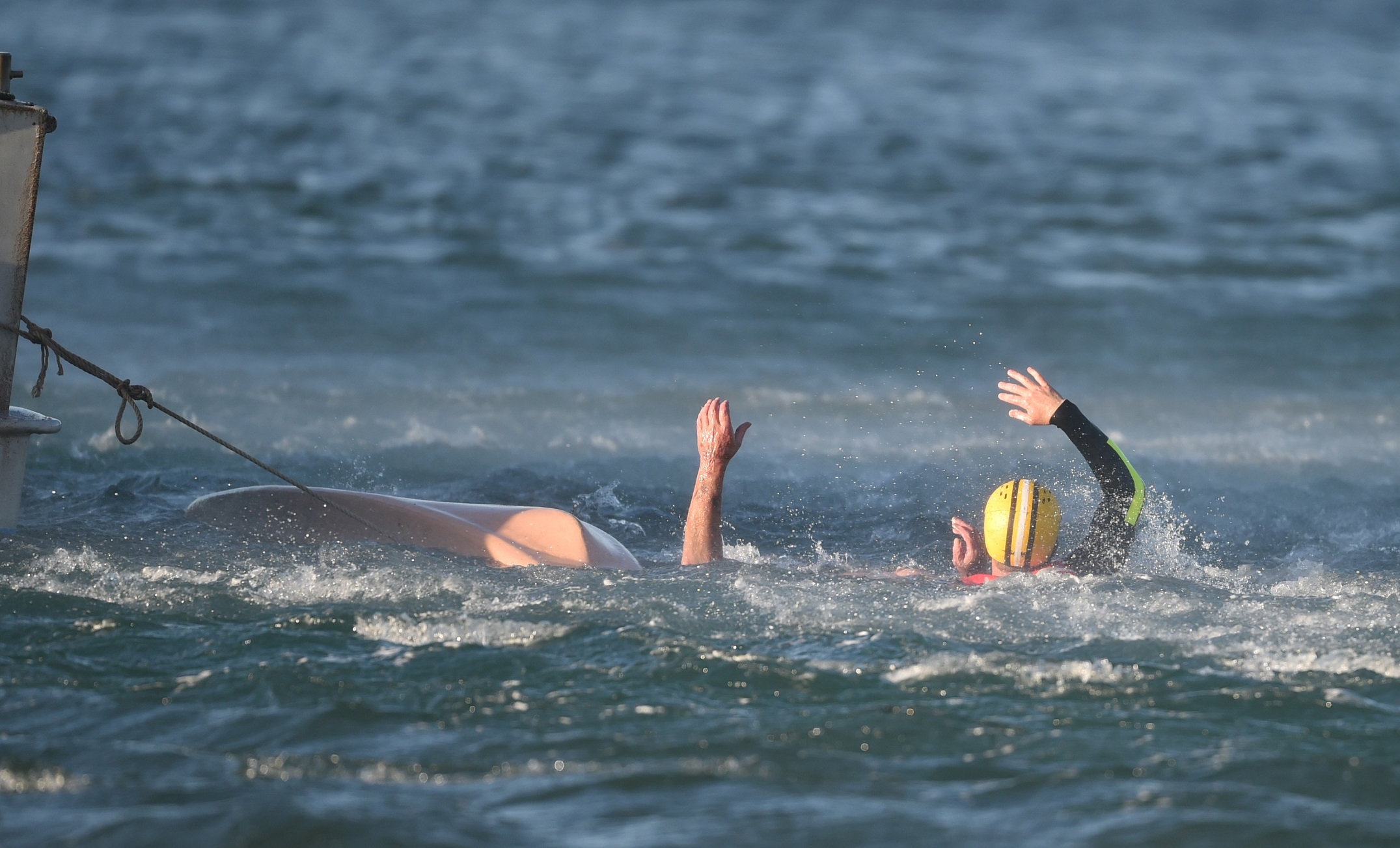 Emergency services conduct a water rescue operation in Roseneath yesterday after an elderly man...