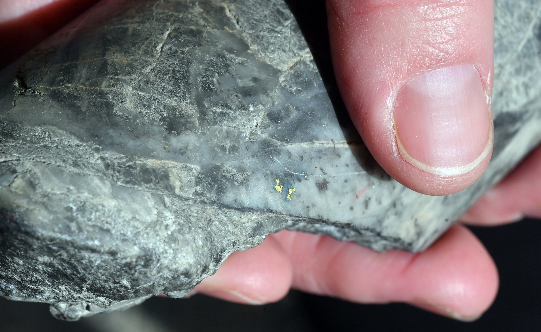 Specks of gold visible in a drill core sample taken from the 54th hole, nicknamed "the jewellery...