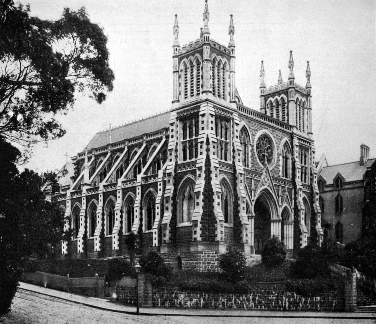 Benno Scherek became the organist at St Joseph’s Cathedral.