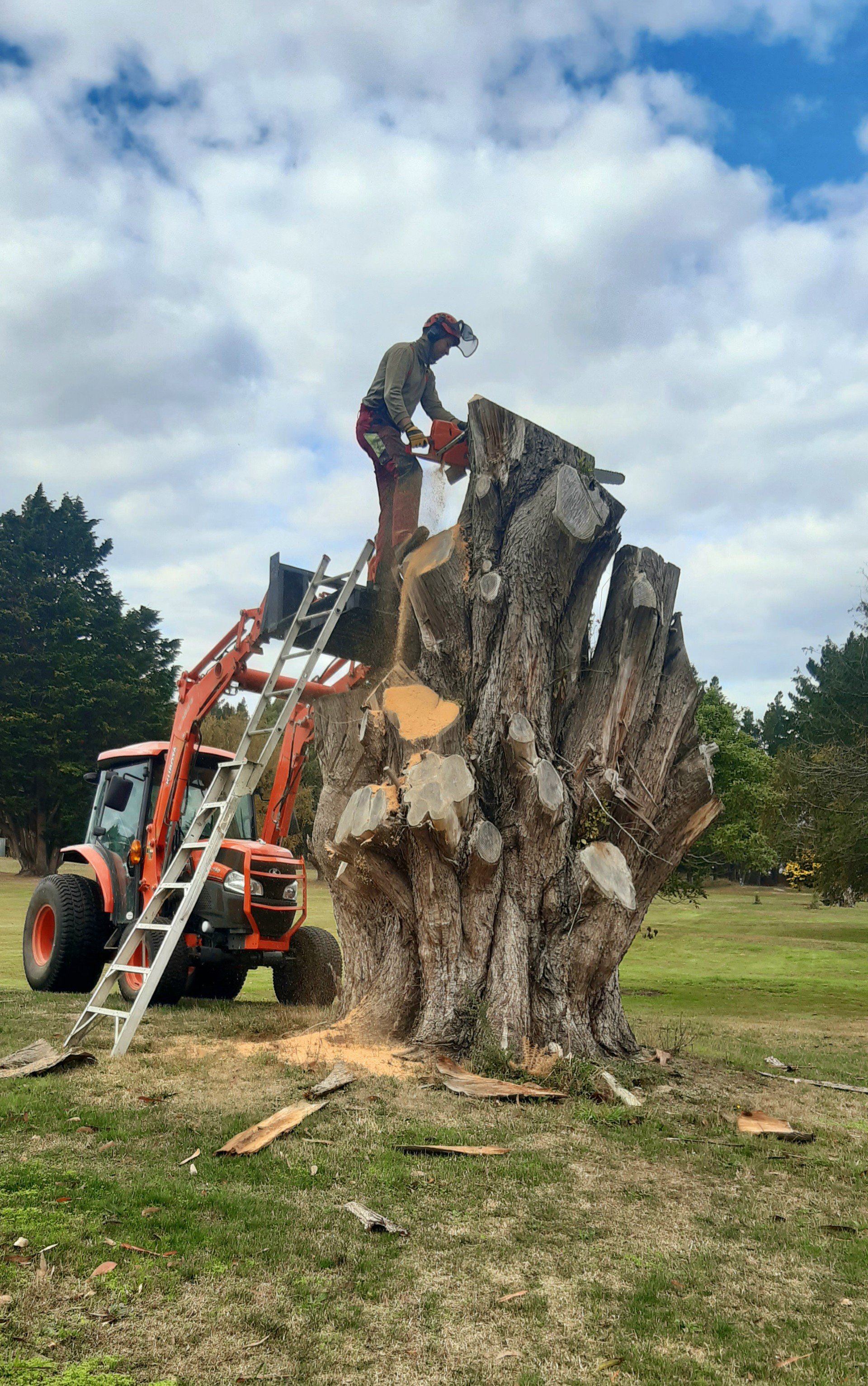 Jakob Stadler at the Waikouaiti Golf Club yesterday.