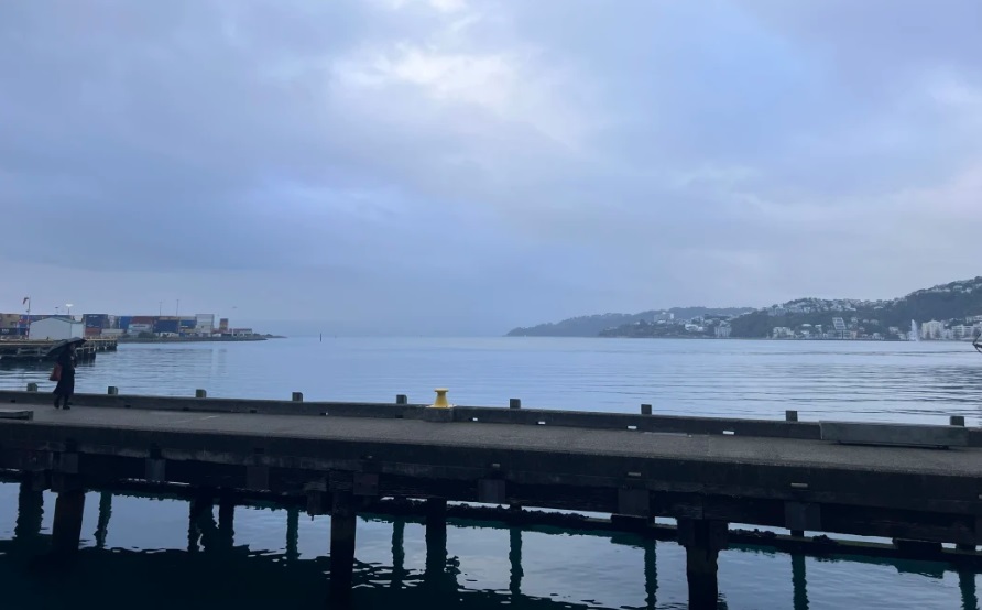 Cloudy conditions over Wellington Harbour on Friday morning. Photo: RNZ
