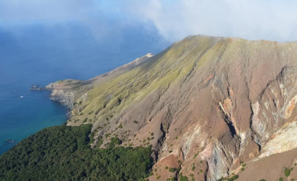 An aerial view of Whakaari / White Island on Friday showing thin, green ash deposits. Photo: GNS...