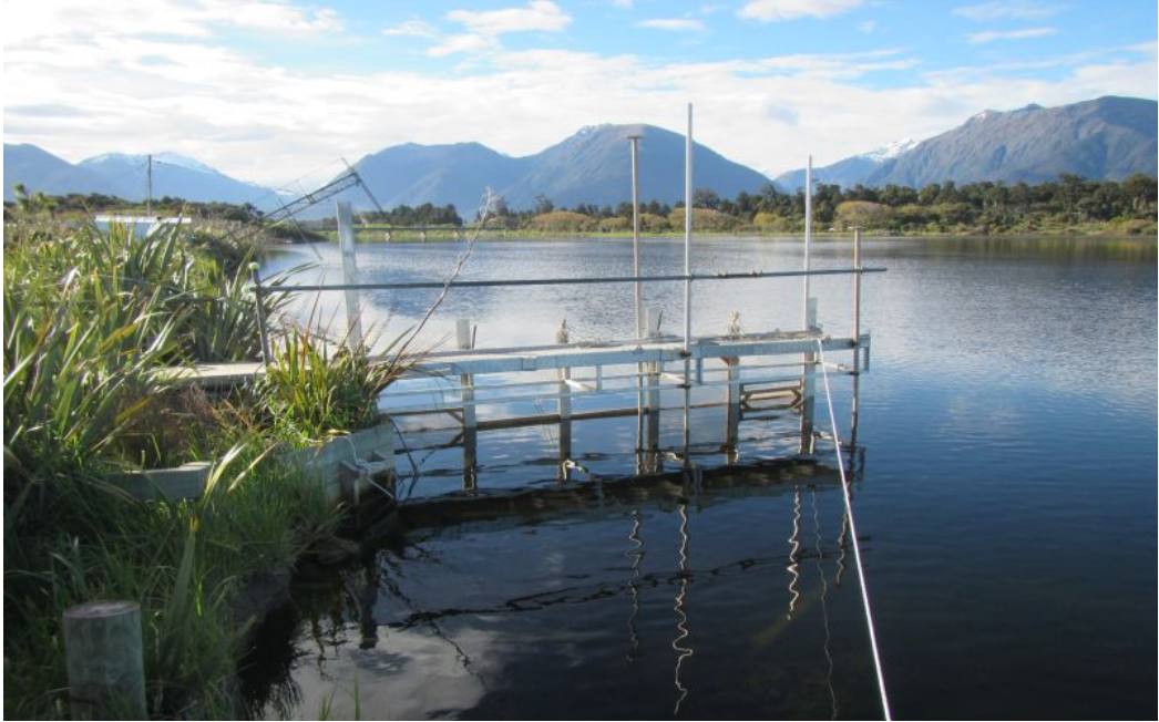 Whitebait stands on the West Coast are in hot demand and are often held intergenerationally but...