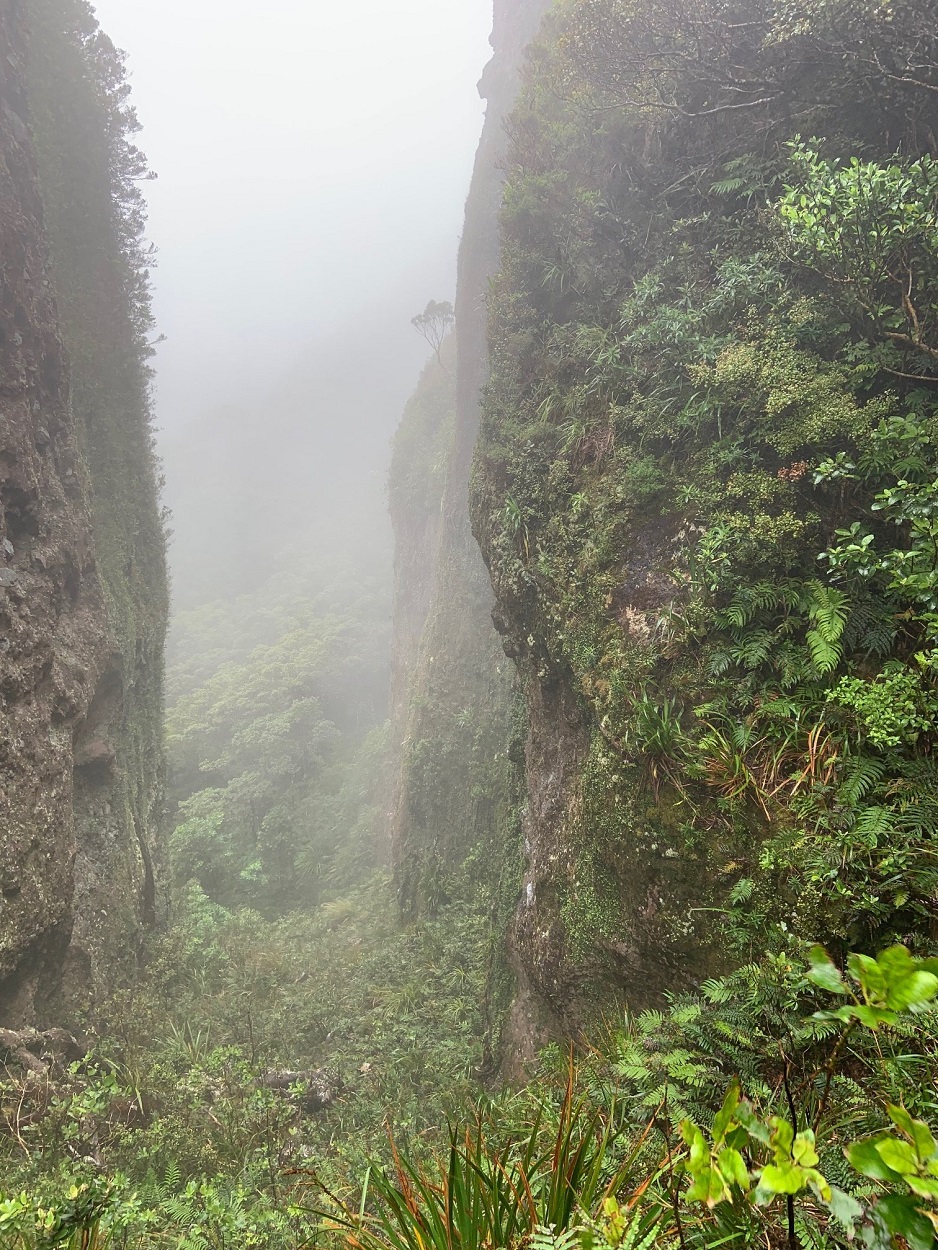 Windy Canyon’s vertical sides are spectacular, with mist on some days adding to the atmosphere. 