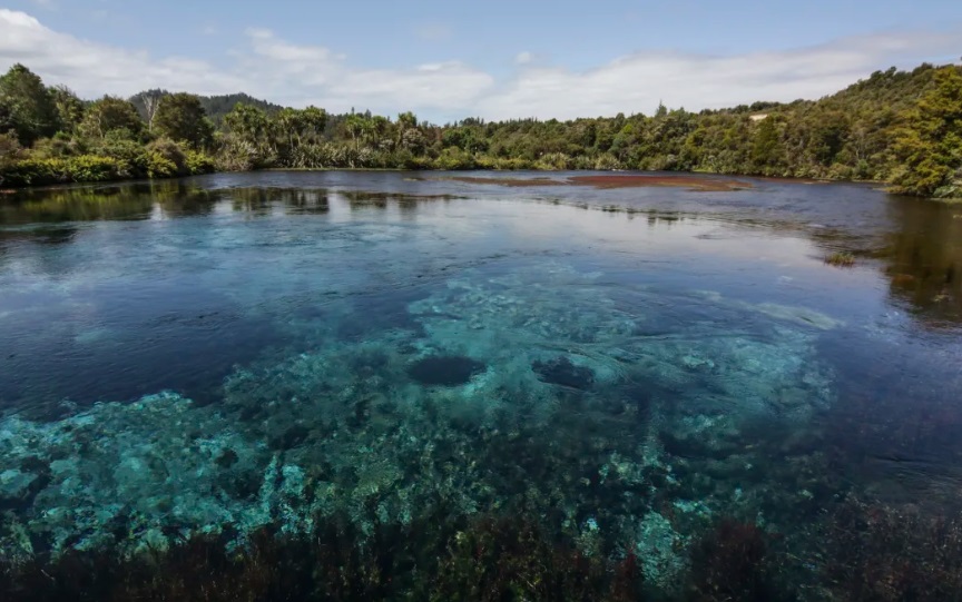 Among concerns are the impact of mining activity on Te Waikoropupū Springs. Photo: RNZ 