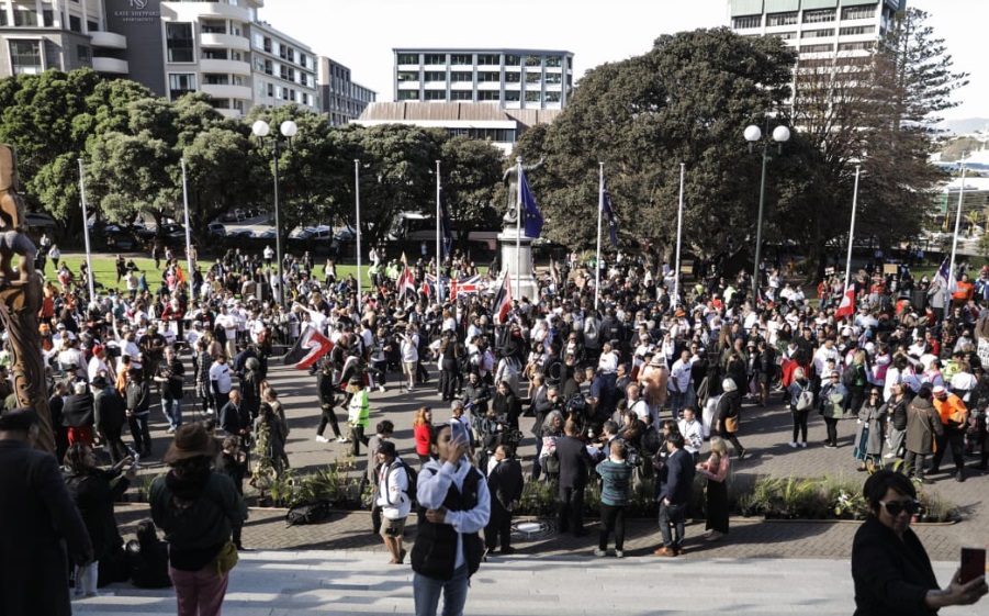 A protest against the Fast-track Approvals Bill outside Parliament in May. Photo: RNZ