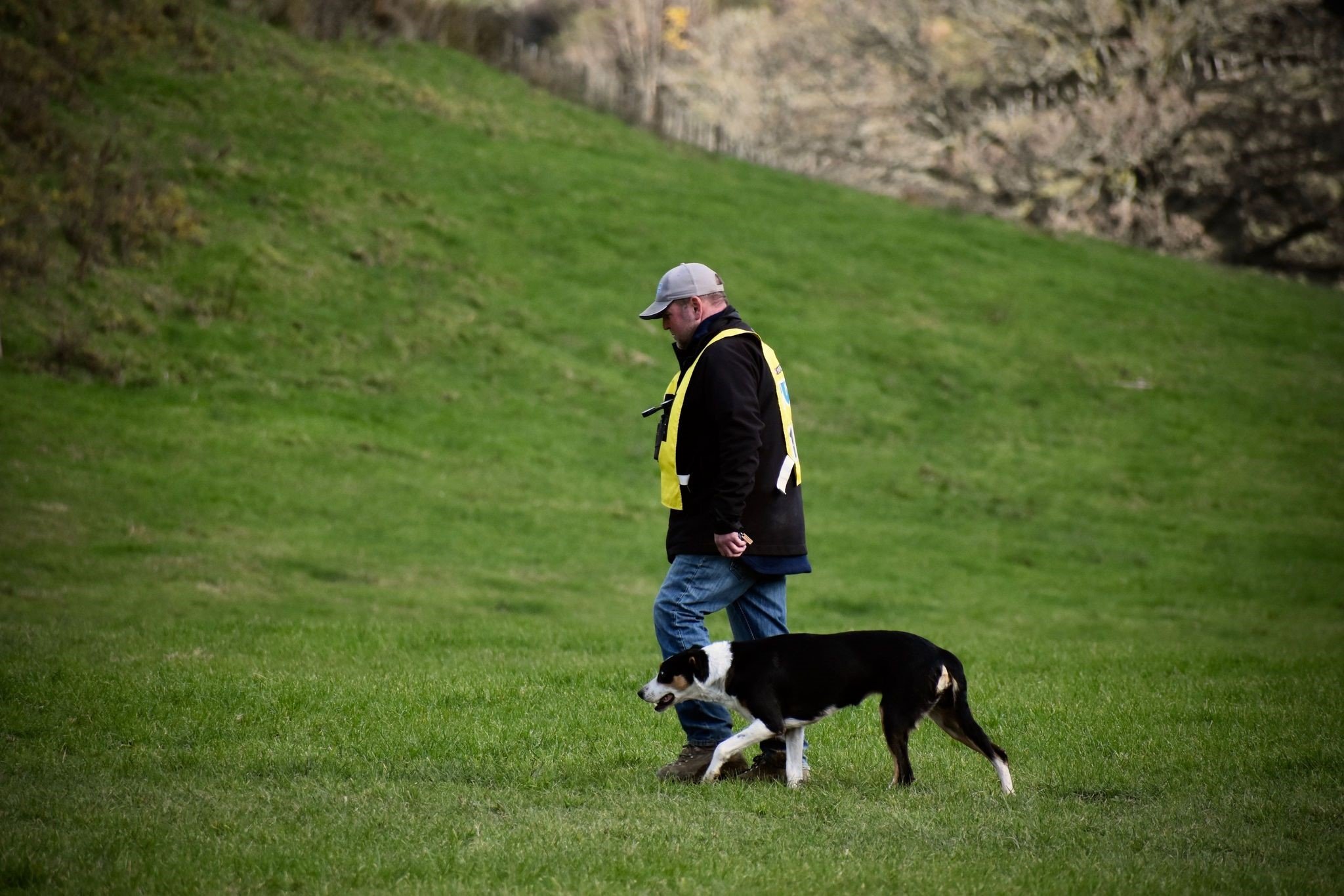 Paul Collins and Sky on the longhead course at the New Zealand sheepdog trial championships in...