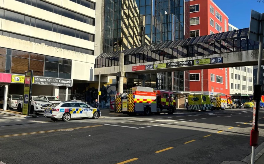 Emergency services at the scene in Wellington. Photo: RNZ