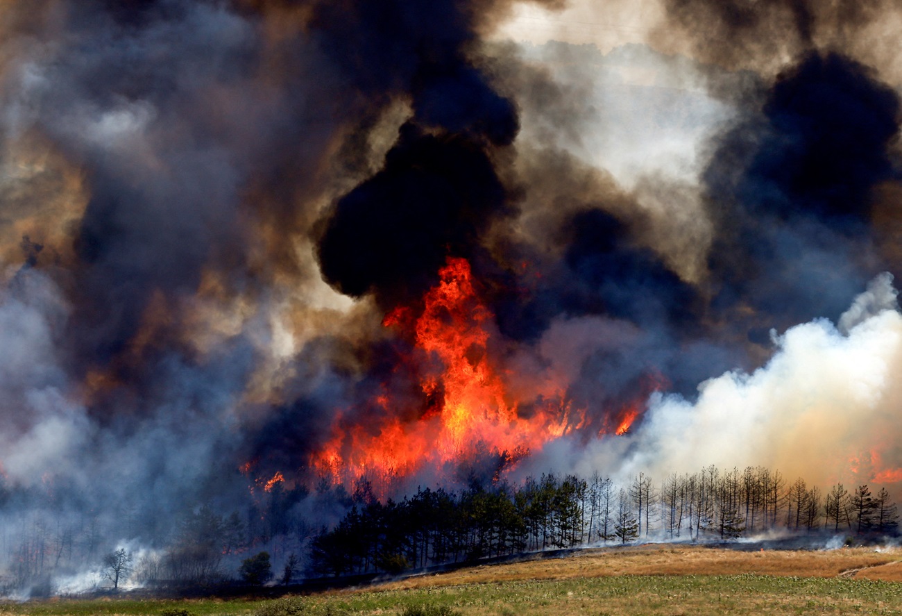 A forest fire rages near Kumanovo in North Macedonia. Photo: Reuters