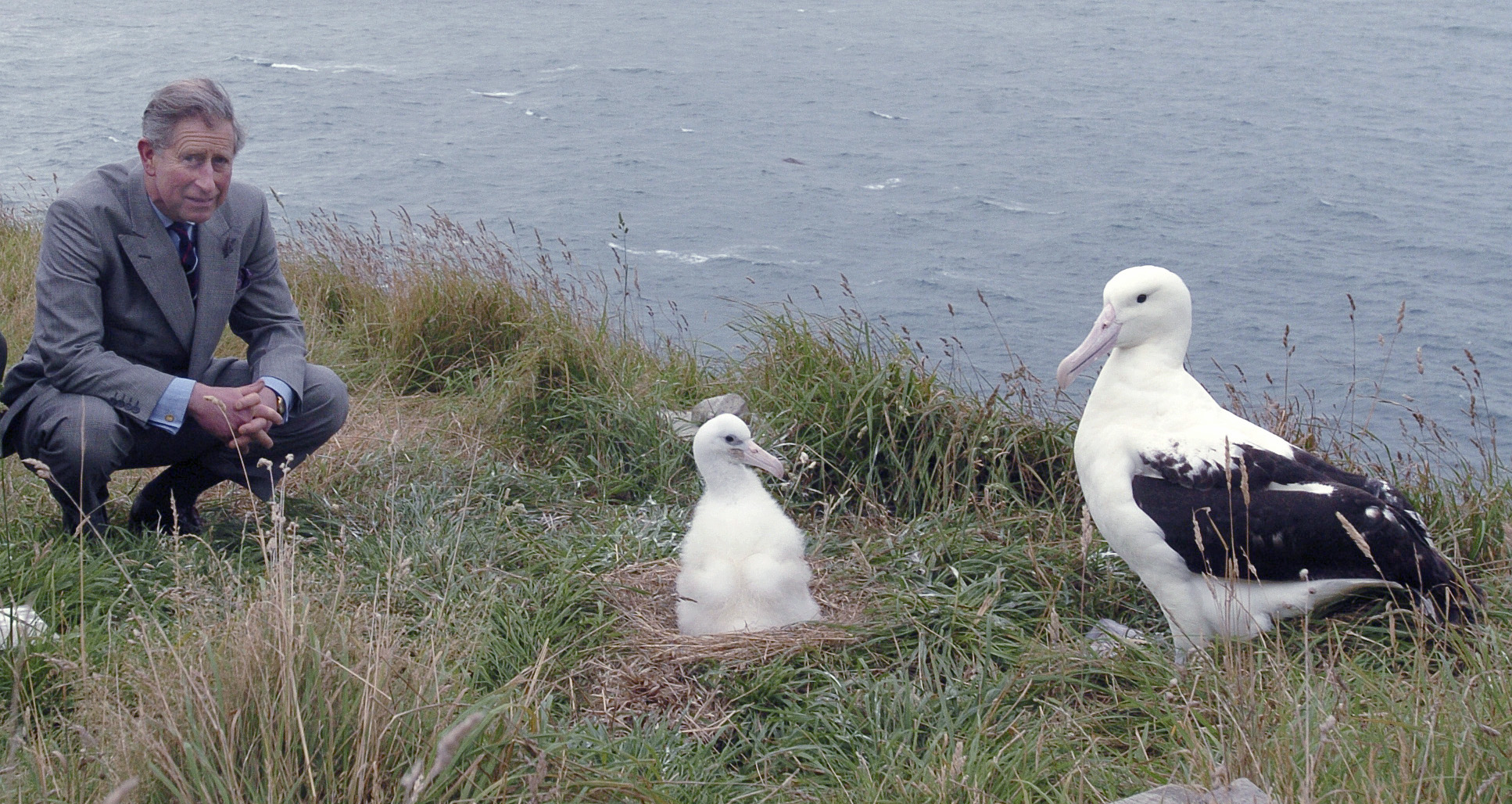 The then Prince Charles at the Royal Albatross Centre at Taiaroa Head during a 2005 visit to...