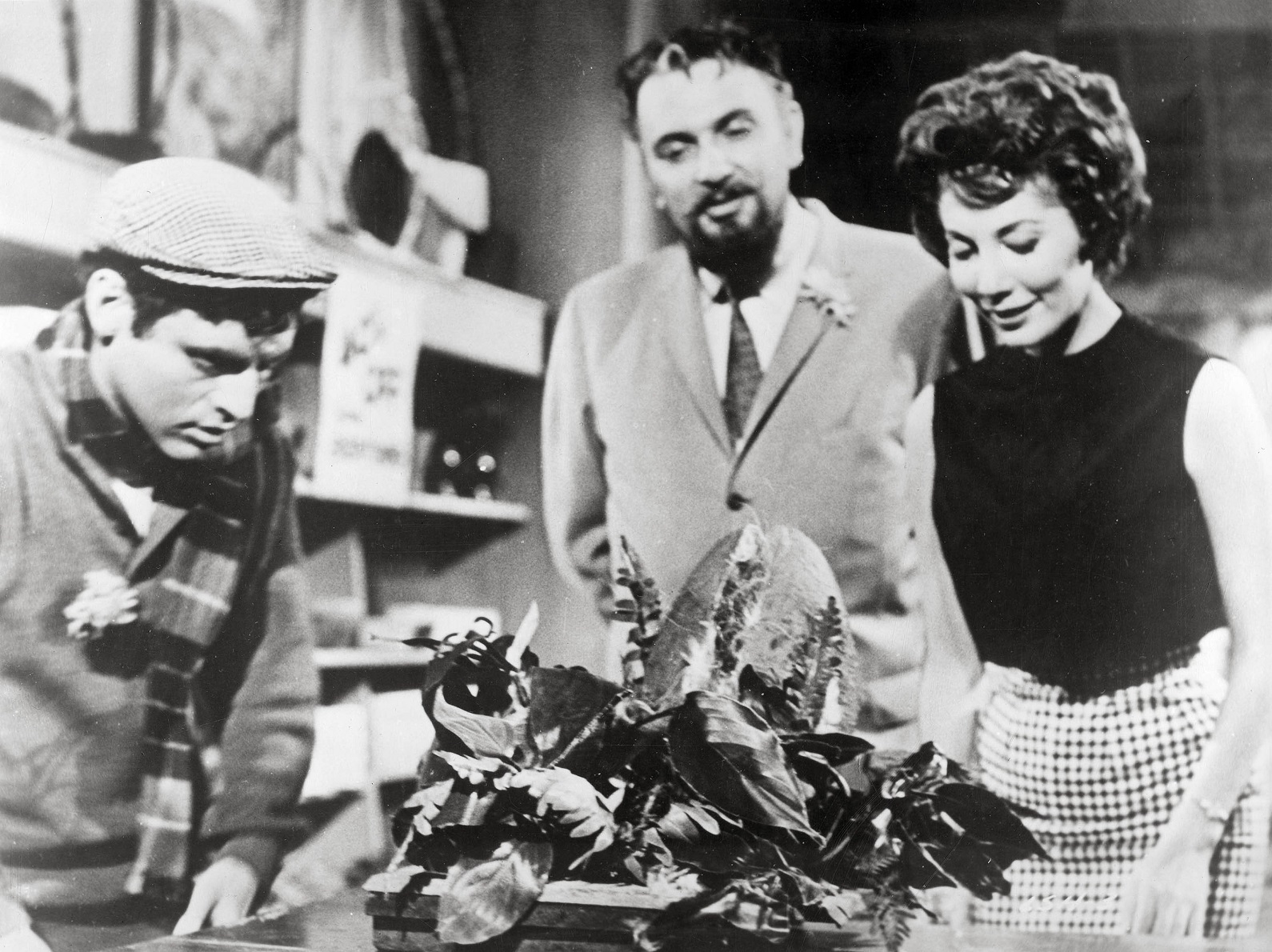 Jonathan Haze, Mel Welles and Jackie Joseph in a scene from Roger Corman’s 1960 film The Little...