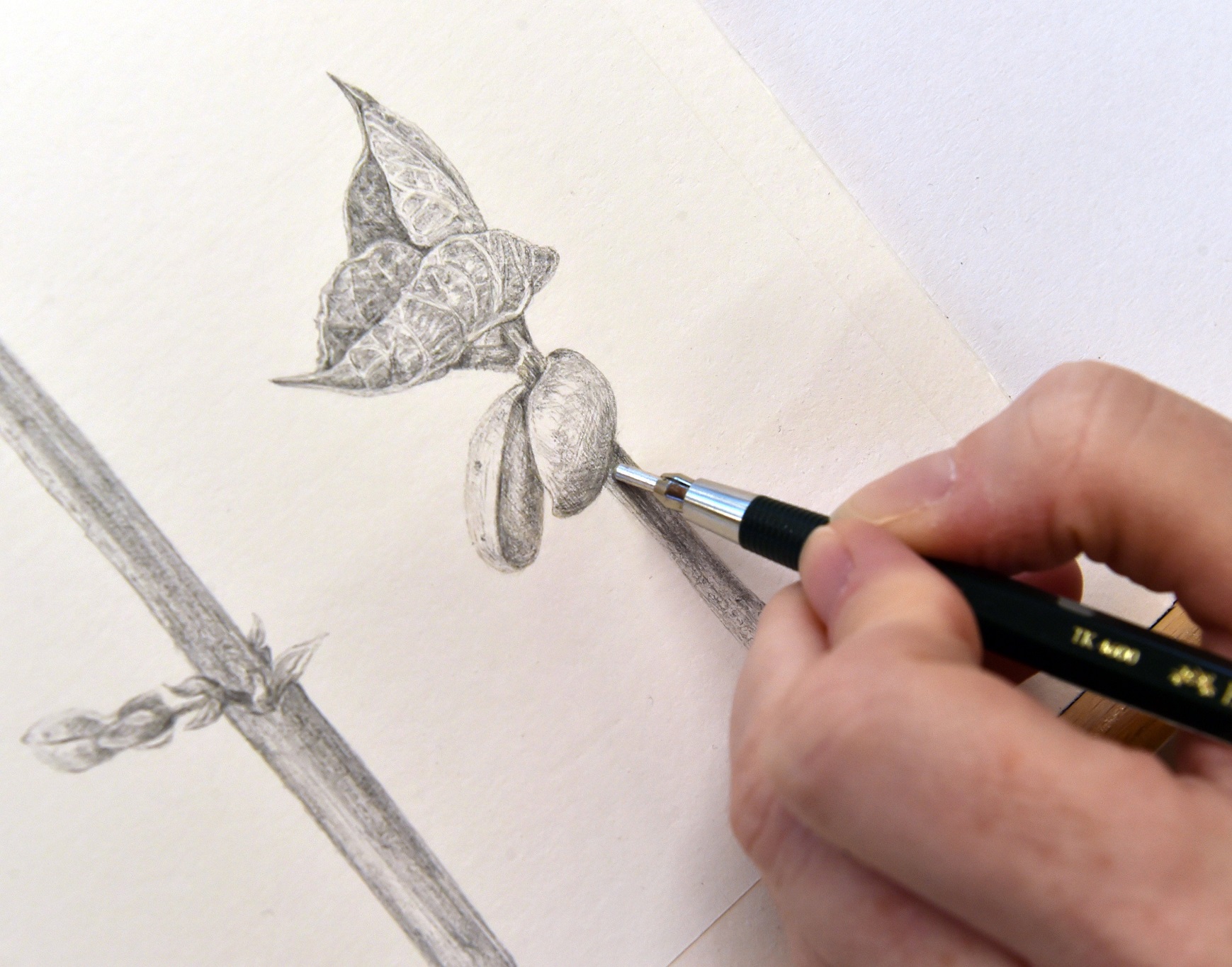 Silverpoint uses a thin piece of silver in a stylus. 