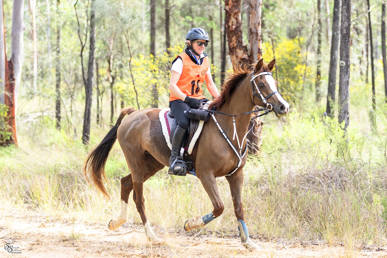 Nenthorn Valley farmer Susie Latta wants to have another crack at the World Equestrian Games in...