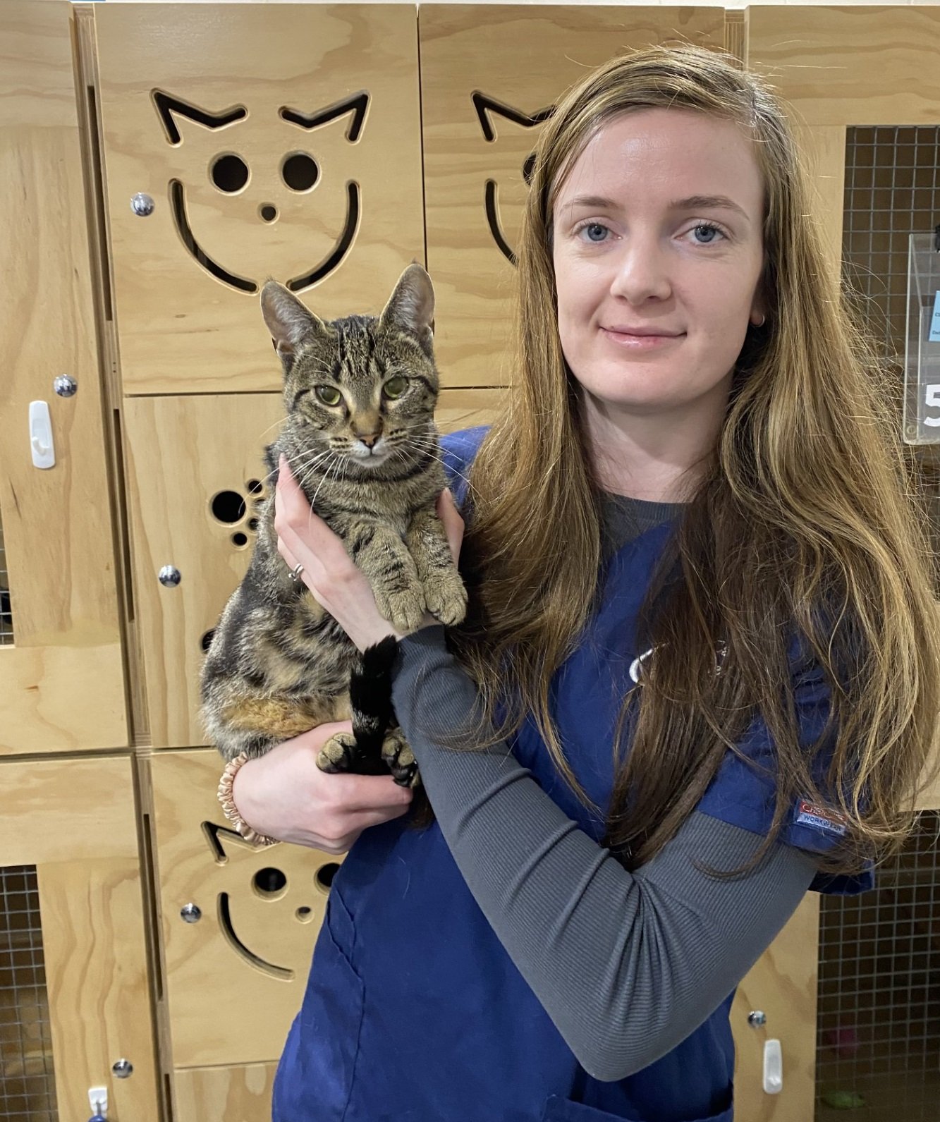 Cat Rescue Dunedin resident vet nurse Brenna Gould holds 4-year-old tabby Stella, who is being...