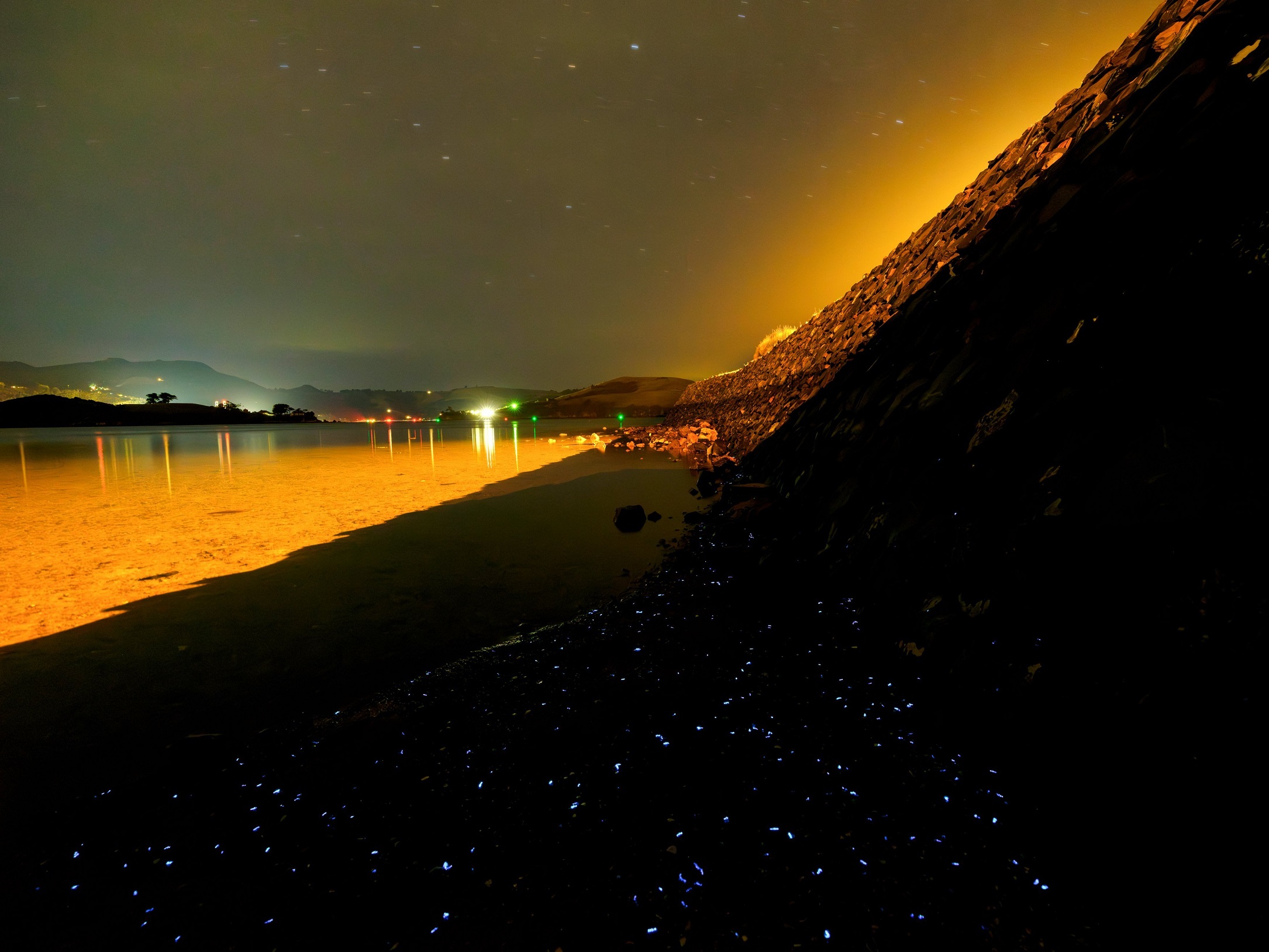 Luminous Nyctiphane krill, in the foreground, decorate the Otago Harbour shore. Photo: Ian Griffin