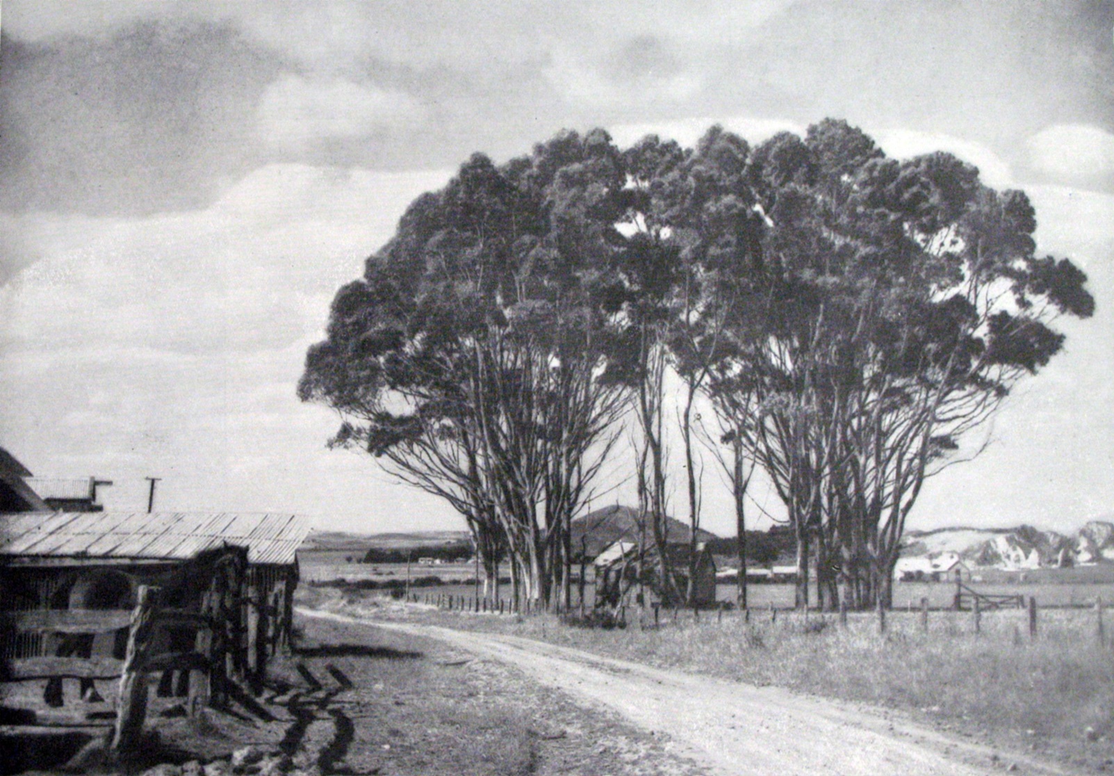 The main north road from Dunedin passes near Karitane. — Otago Witness, 1.7.1924 
