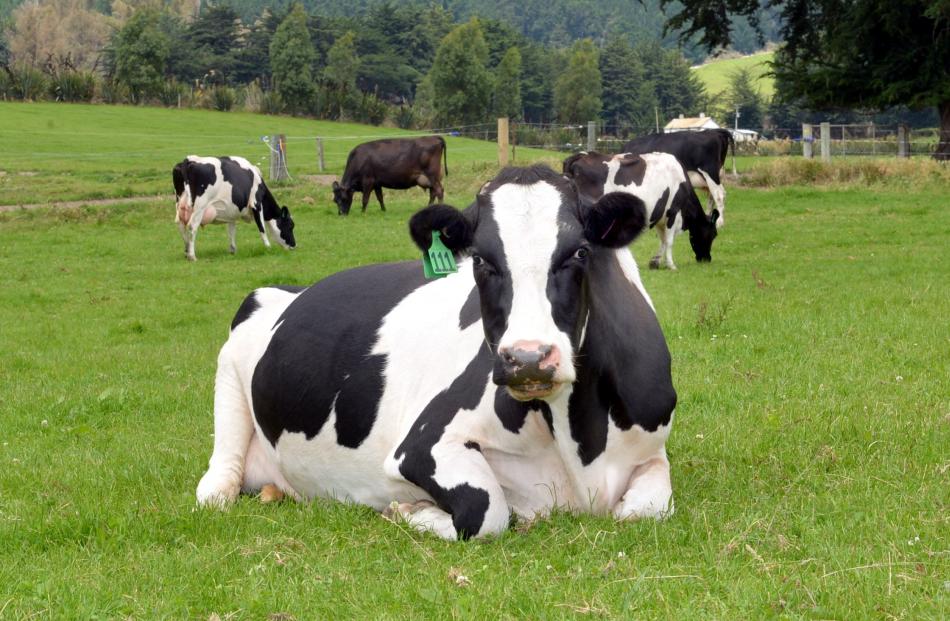 New Zealand animals graze over large areas outdoors - making it very difficult to get emissions...