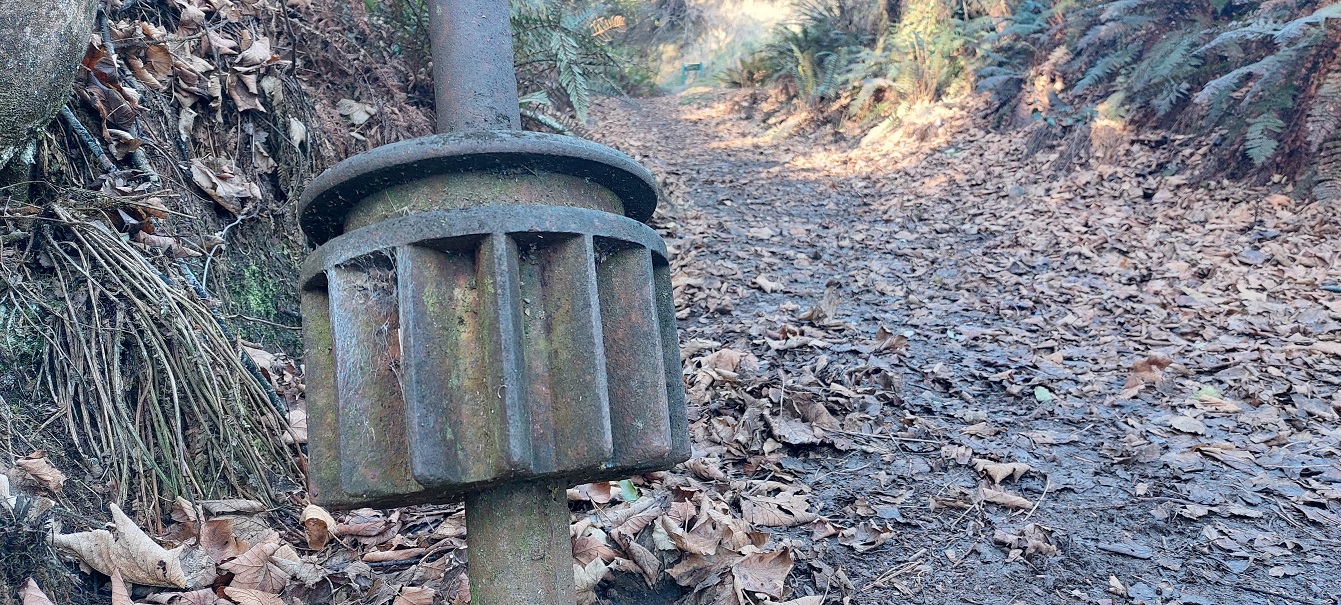 A prong earns its place as taonga. Photo: Clare Fraser