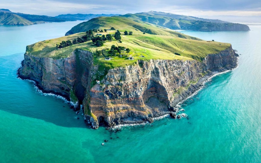 Awaroa Godley Head. Photo: Supplied / Department of Conservation