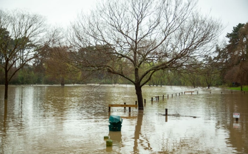 Flooding from the Waikanae River on the Kāpiti Coast after heavy rain on Monday. Photo: RNZ 