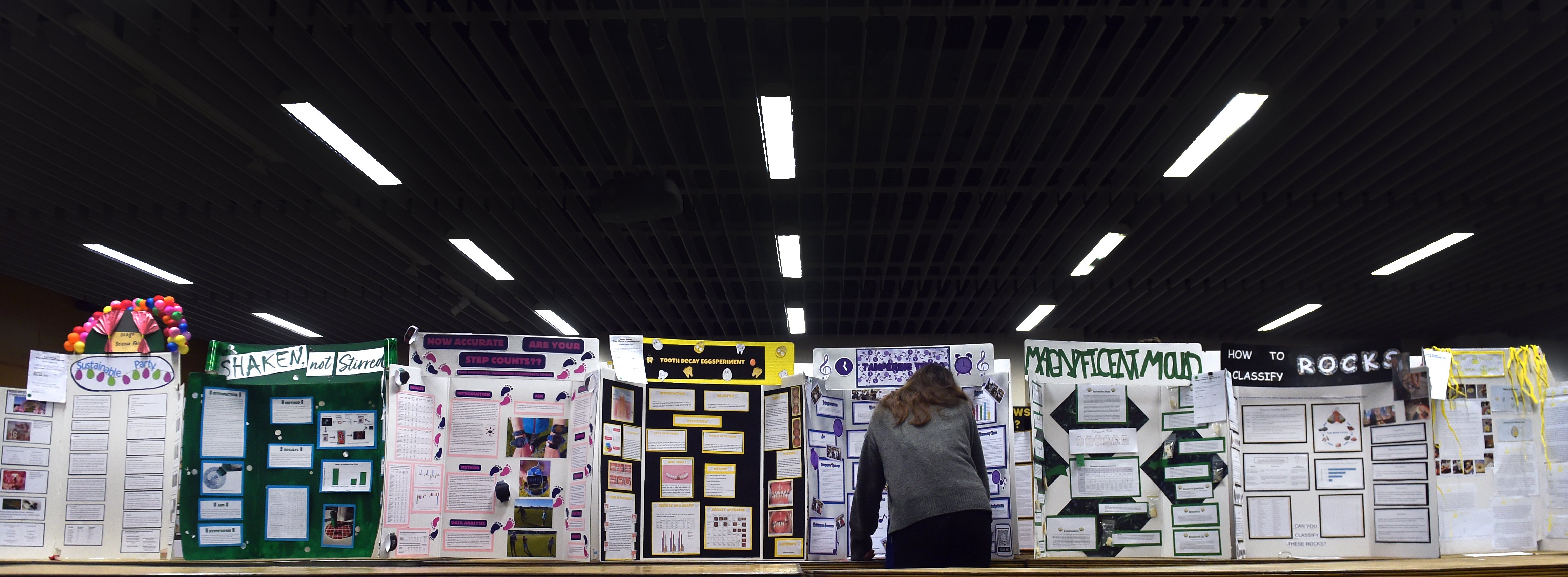 Judge Maddie Ford takes a close look at one of the entries to this year’s Aurora Energy Otago...