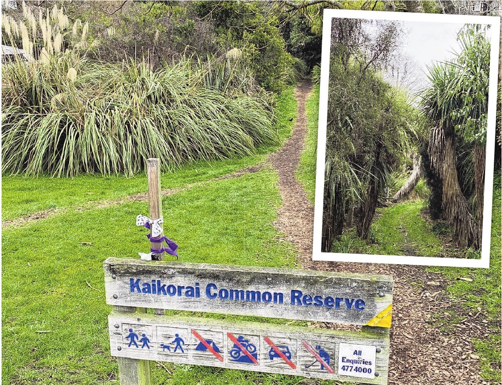 The Kaikorai Common Reserve in Shetland St has been transformed from boggy ground to a lush urban...