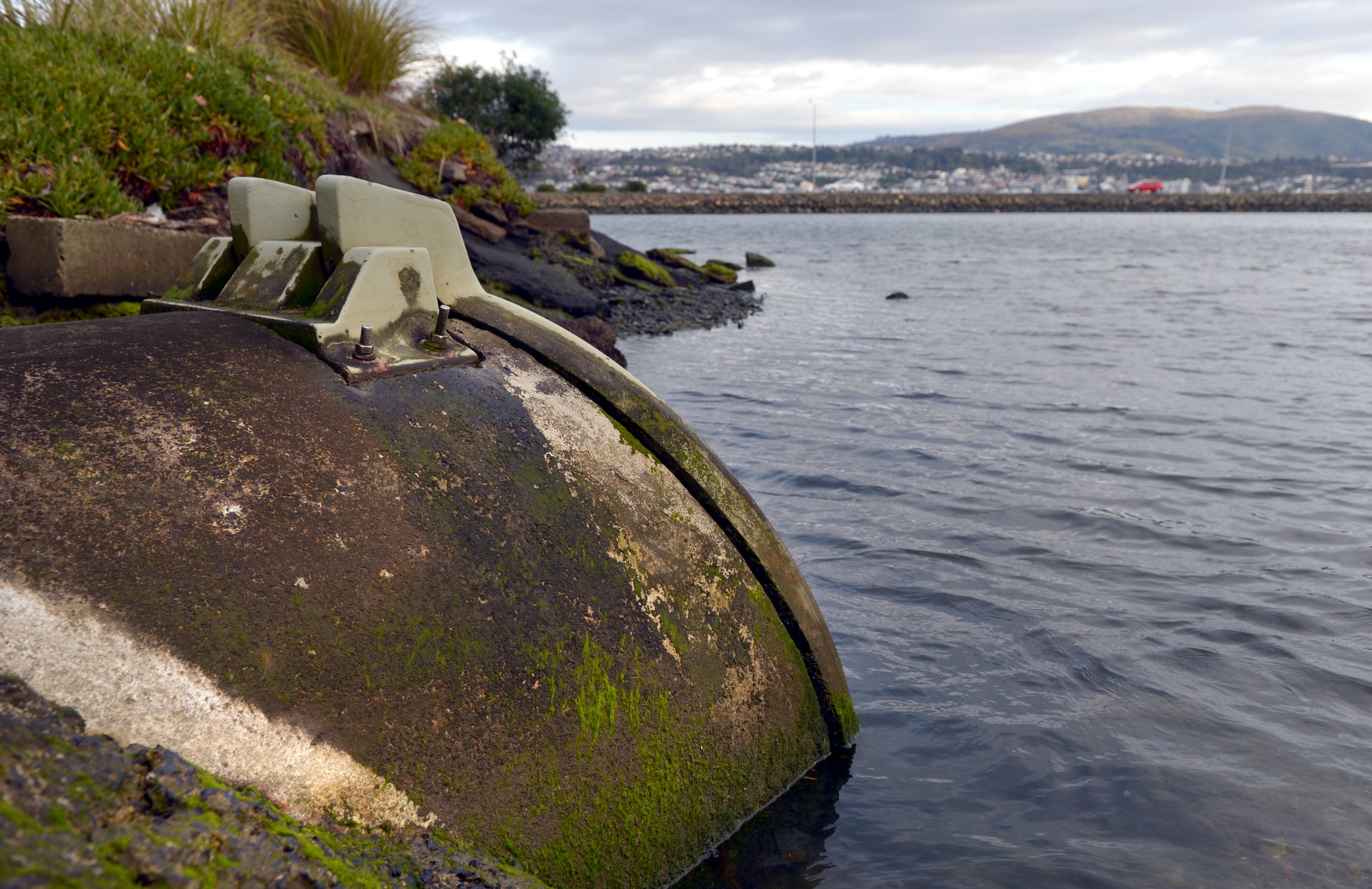 Stormwater outlet Andersons Bay Inlet. Photo: Stephen Jaquiery