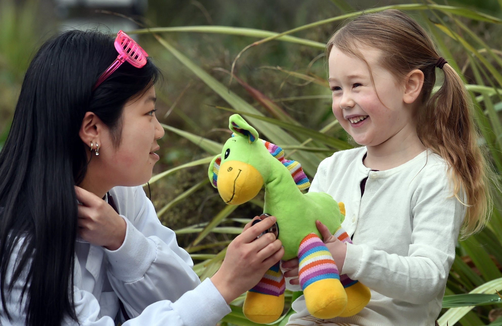 University of Otago second year medical student Hayley Wong, 19, examines "Giraffey" held in the...