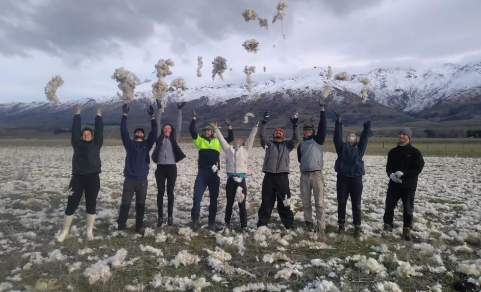 Workers from Tinwald Farm have been spreading wool over a degraded paddock. PHOTO: TINWALD FARM
