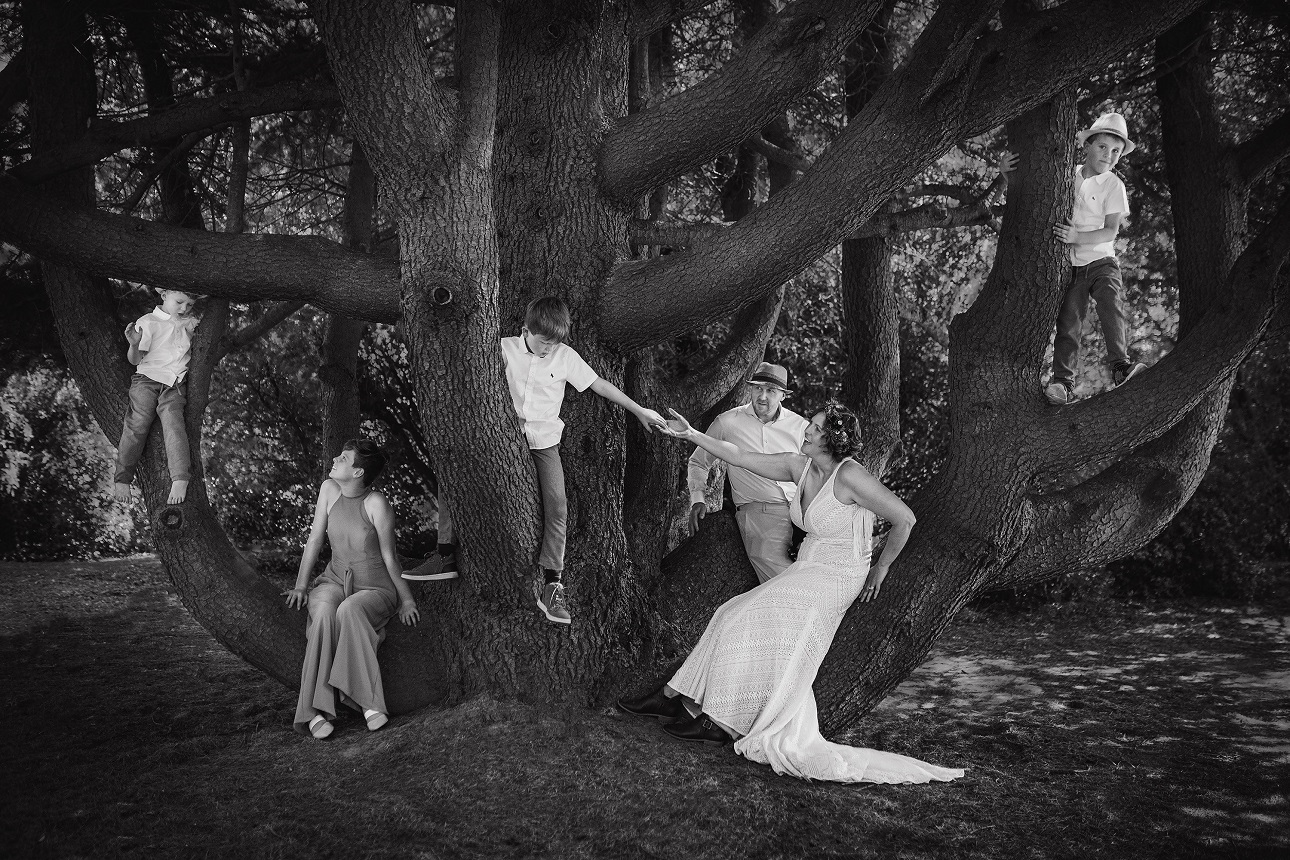 Ms  Wilhelmsen’s silver ribbon shot "The Family Tree" taken at a couple’s wedding in Memorial...