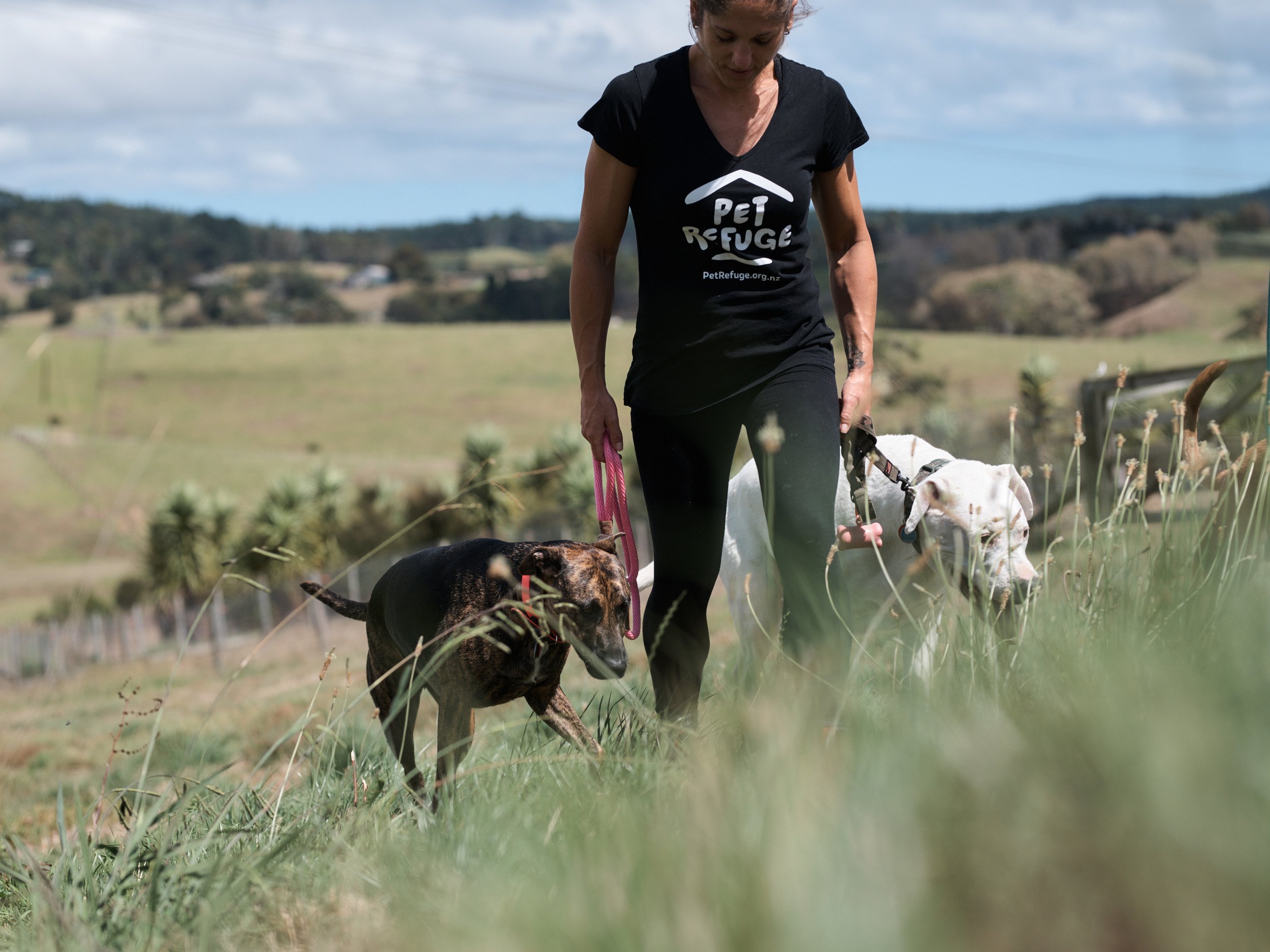 Pet Refuge shelter manager Louise Morley with two dogs from families leaving domestic violence...